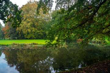 City park, trees reflection on the pond water, autumn. Rotterdam, Netherlands.