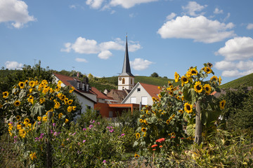 Fototapete bei efototapeten.de bestellen   