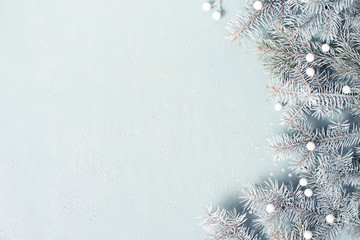 Light blue Christmas or New Year festive background with frosty fir branches
