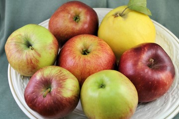 Fresh organic ripe fruits apples  natural gourmet product dessert background 