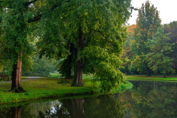 Fototapeta na wymiar City park, trees reflection on the pond water, autumn. Rotterdam, Netherlands.