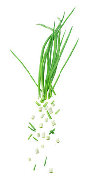 Sliced green onion drops isolated on a white background