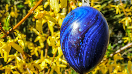 Blaues Osterei im Frühling