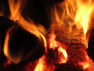 Blurred. Burnt logs. Forks of flame on charcoal. Fire in the fireplace. Close-up. Burning firewood and fire background.