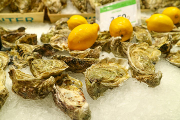 スペインの牡蠣