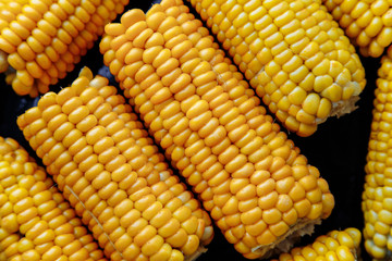corn cobs close-up