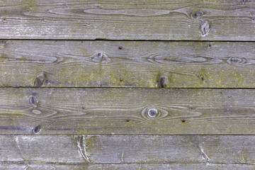 The old wood texture with natural patterns