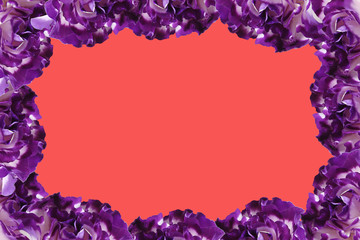 frame of purple flowers on a red background