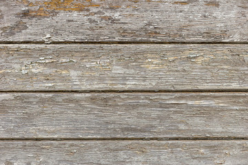 Fototapeta premium The old wood texture with natural patterns