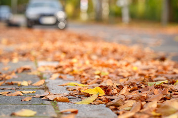 Colorful fallen autumn leaves are covering the pavement, curbstone and parts of the street in a residential district in Germany in October on a sunny day.