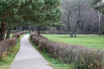 Photo of the river, water pier. Autumn park on the shore. Image of nature, forest, landscape.