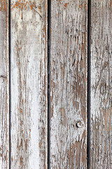 The white wood texture with natural patterns background