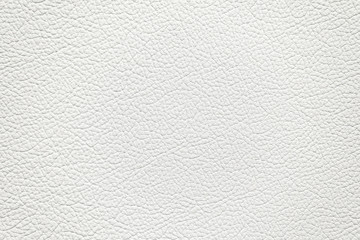 white leather texture. White background