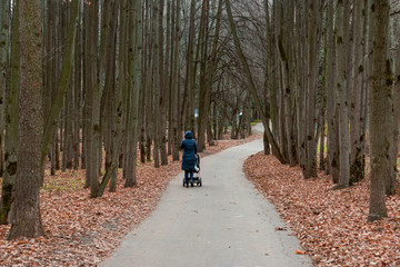 Obraz premium a young mother rolls a stroller with a baby in a Park with an autumn landscape