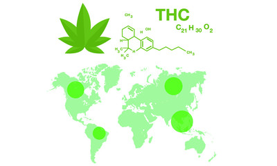 horizontal business infographic illustration about cannabis as herbal alternative medicine and chemical therapy.