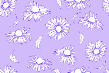 Floral seamless pattern with cute white flowers Echinacea Purpurea on violet background. For textile, wallpapers, print, wrapping paper, greeting. Vector illustration.