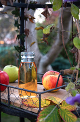 Fresh apple juice in the bottle on the wooden tray, outdoor
