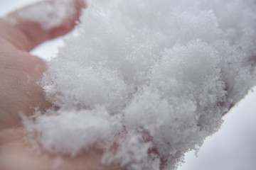 Melting snowflakes on humans hand