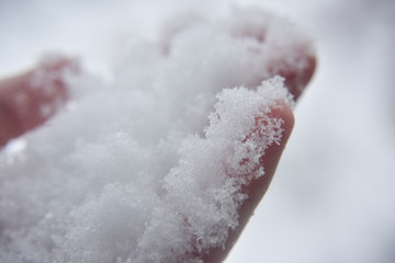 Melting snowflakes on humans hand