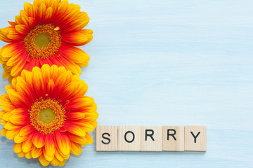 Word sorry and flowers on a blue background.