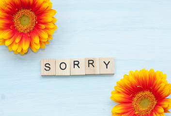 Word sorry and flowers on a blue background.