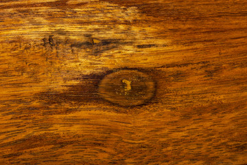 Wooden texture background. Abstract texture