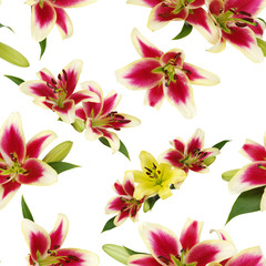 Seamless pattern with lily flowers and green bud