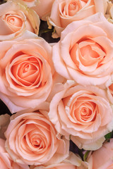 Bouquet of delicate roses . A background of floral roses. Beautiful flowers. A gift for the holiday. Fresh flowers.