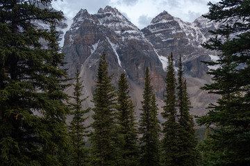 Stunning early morning view on the Consolation Lakes hike, of the Wenkchemma Range in the Valley of Ten Peaks, Banff, Canada with a glimpse throught the trees of mountains