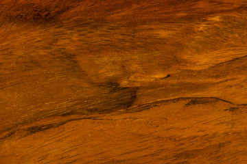 Wooden texture background. Abstract texture