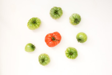 Summer harvest of vegetables concept. Set of green and red tomatoes.