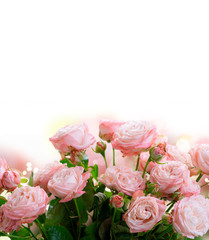 Obraz na płótnie Canvas fresh rose flowers