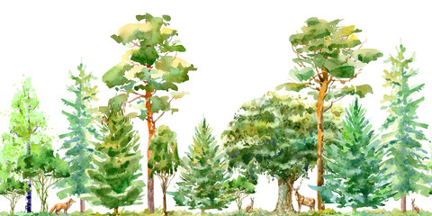 Fototapety  Seamless border of a fox,hare, deer, oak,birch,pine,spruce.Forest animals.Deciduous and conifers tree.Watercolor hand drawn illustration.White background.