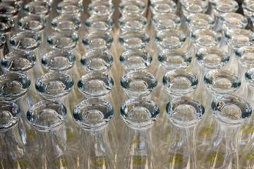 Rows of beer empty glasses