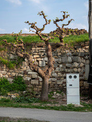 Belgrade fortress, Belgrade, Serbia