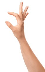 Hand of woman holding something on white background