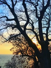 sunset in Crimea, beautiful view in the evening