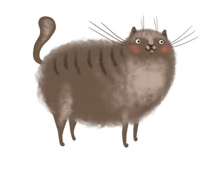 Cute fat gray tabby cat on white background