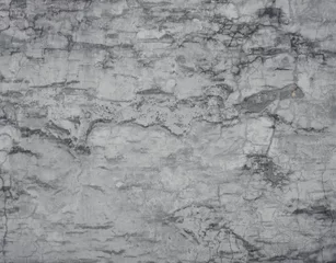 Photo sur Plexiglas Vieux mur texturé sale Texture de vieux mur plâtré gris avec des fissures. Image horizontale.