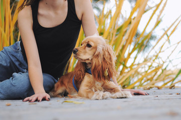 Girl with her dog, English Cocker Spaniel, sitting on the bench near the lake