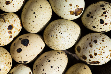 Quail eggs are considered a delicacy in many parts of the world.