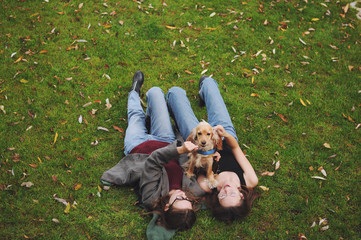Woman with american cocker spaniel plays at autumn park