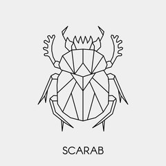 Abstract polygonal scarab beetle. Geometric linear animal. Vector illustration.	