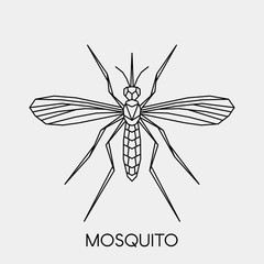 Abstract polygonal mosquito. Geometric linear animal. Vector illustration.	