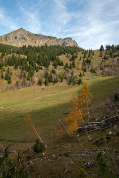 Couleurs d'automne au col du Pillon