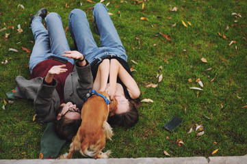Woman with american cocker spaniel plays at autumn park