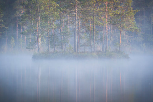 Forest island with water and mist © Ansel