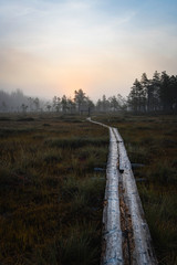 Boardwalk in meadow in morning mist with sun color on horizon