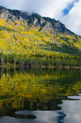 Vivid autumn forest hillside with lake reflection, 
