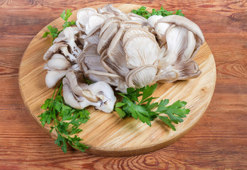 Raw oyster mushrooms with parsley on wooden serving board